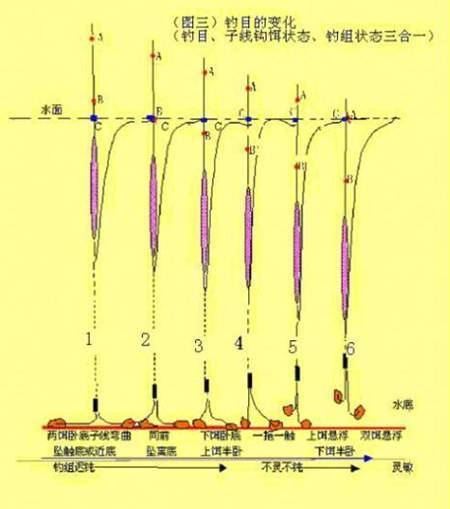 钓鲫鱼技巧_钓鲫鱼技巧和方法