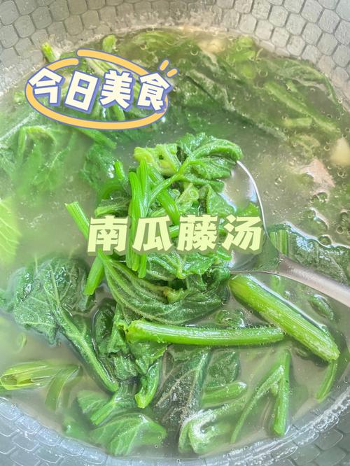 南瓜藤汁的功效与作用_南瓜藤汁的功效与作用及食用方法