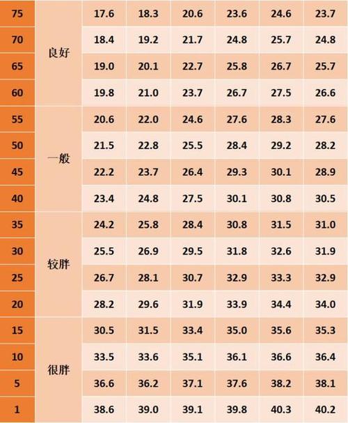 肥胖指数_肥胖指数正常范围