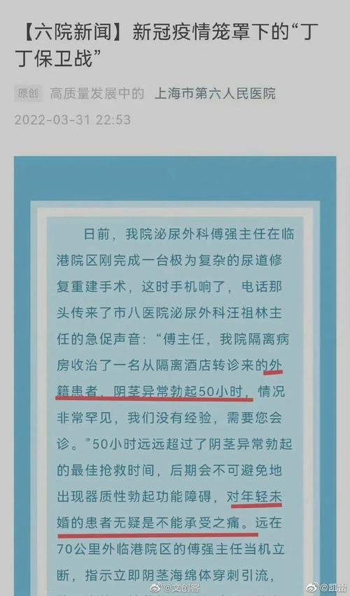 上海丁丁_上海丁丁保卫战