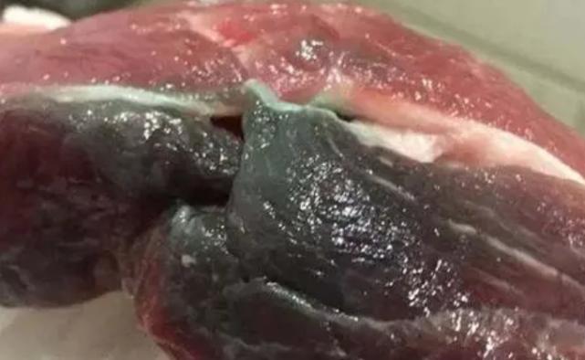 黑猪肉_黑猪肉为什么有股怪味