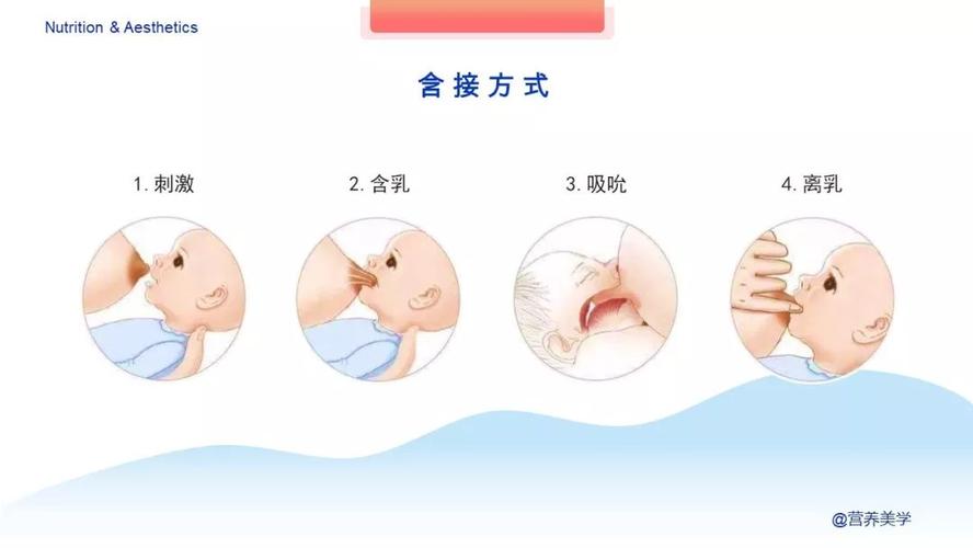 科学母乳喂养_科学母乳喂养技巧