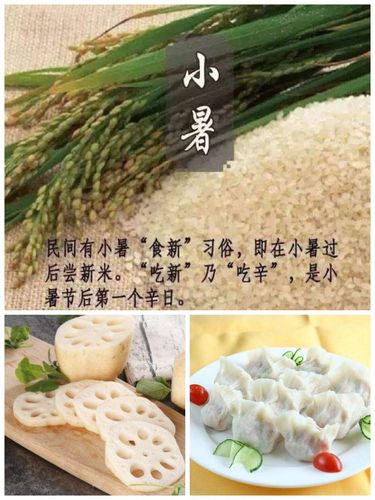 小暑吃什么风俗食物_小暑吃什么风俗食物东北