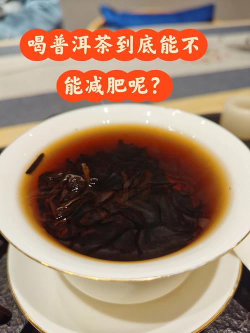 普洱茶减肥吗_普洱茶减肥吗是真的吗