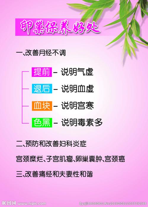 卵巢保养方法_女性卵巢保养方法