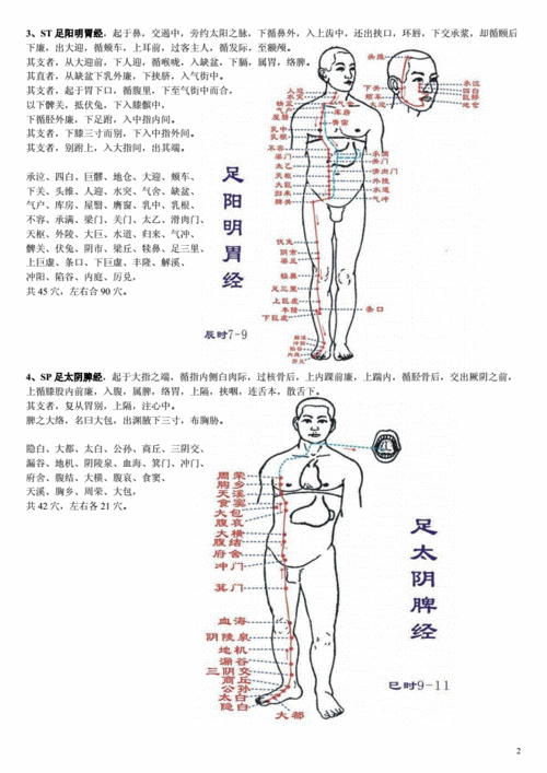 十二经络图解_十二经络图解高清大图