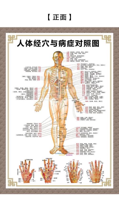 十二经络图解_十二经络图解高清大图