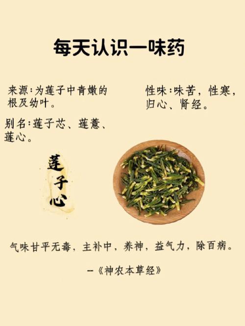 莲心的作用_莲心的作用与功效禁忌