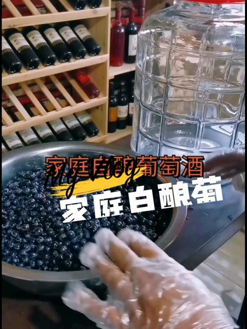 做葡萄酒视频_在家怎么做葡萄酒视频