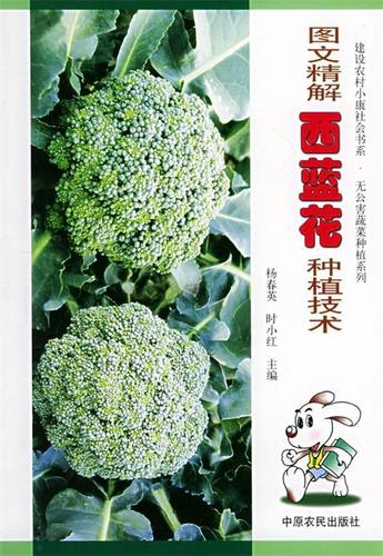 西兰花种植技术_西兰花种植技术与管理