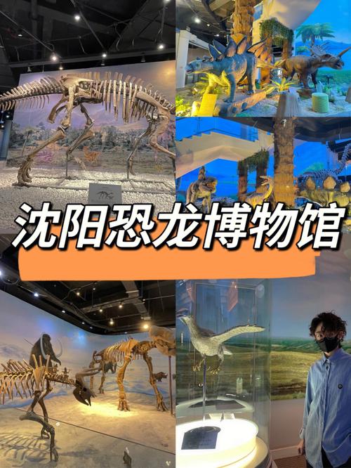 辽宁古生物博物馆_辽宁古生物博物馆门票多少钱