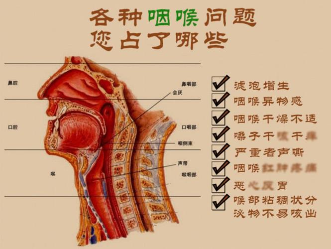 扁桃体发炎喉咙肿痛怎么办_大人扁桃体发炎喉咙肿痛怎么办