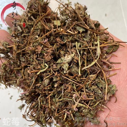 蛇莓的功效与作用_中草药蛇莓的功效与作用