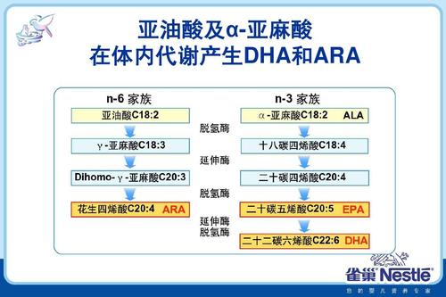 dha亚麻酸_dha亚麻酸功效与作用