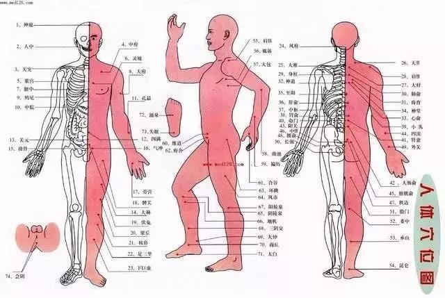 人体经络走向图_人体经络走向图(动画版)