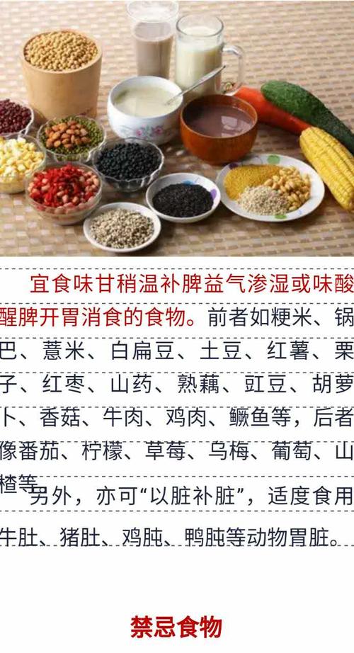 脾虚的食疗_脾虚的食疗方法脾虚应该吃些什么