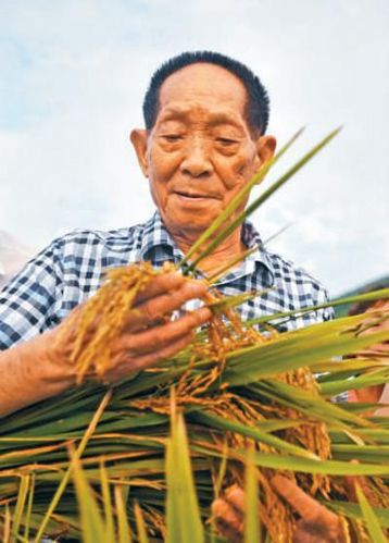 袁隆平转基因_袁隆平转基因水稻成果