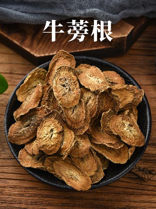 牛蒡_牛蒡是什么东西