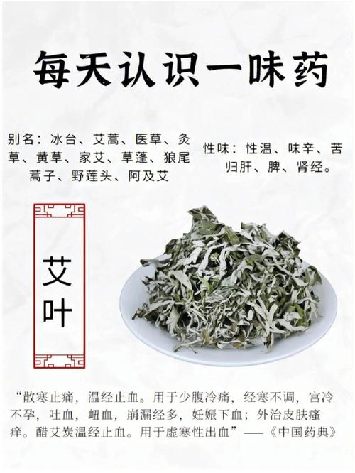 艾叶的功效_艾叶的功效与作用及禁忌