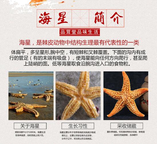 海龙的功效与作用_海星的功效与作用