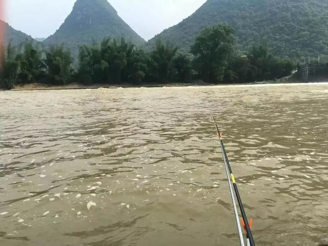 浑水钓鱼_浑水钓鱼钓底还是浮