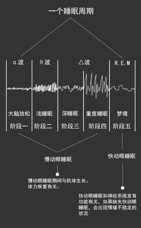 达芬奇睡眠法_达芬奇睡眠法科学吗