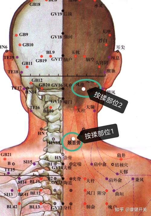 脖子右边疼_脖子右边疼痛什么原因