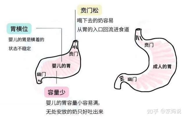 两个月的宝宝吐奶_两个月的宝宝吐奶是什么原因