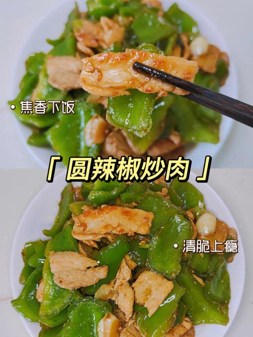 辣椒炒肉的做法大全_辣椒炒肉的做法大全家常菜