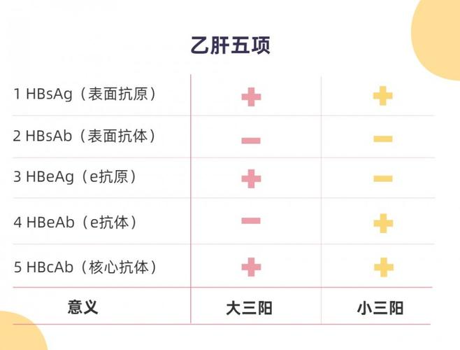 乙肝小三阳能怀孕吗_乙肝小三阳能怀孕吗?