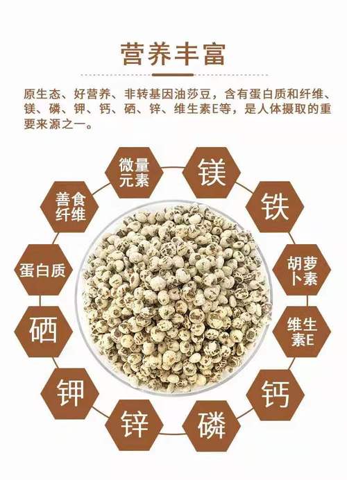 油莎豆_油莎豆的功效与作用及食用方法