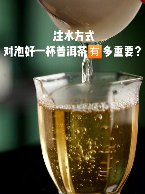 冲泡普洱茶_冲泡普洱茶一般用 以上的水温冲泡