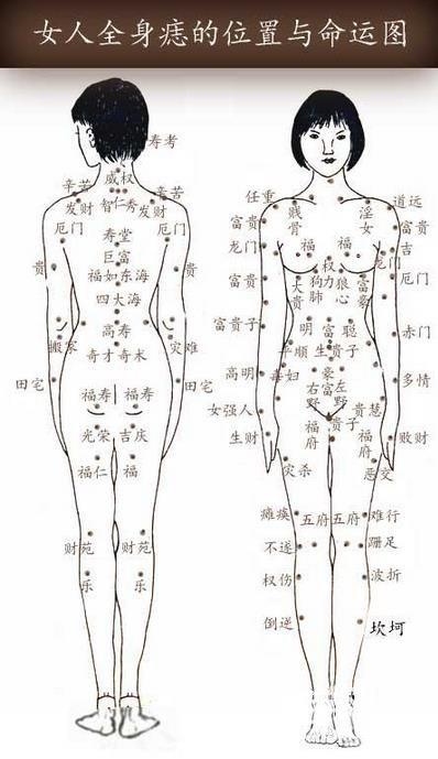 全身痣相图解_全身痣相图解大全