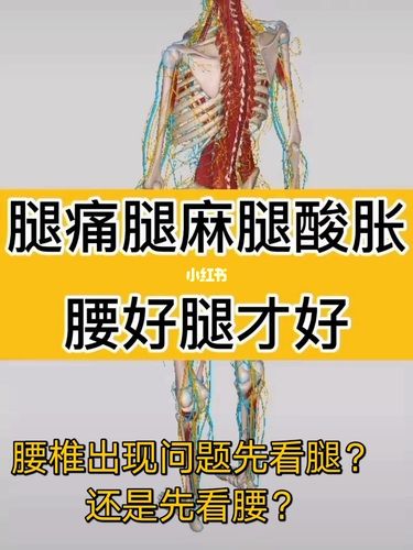 腿疼_腿疼是怎么回事什么原因引起的