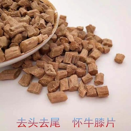 牛膝的功效与作用_怀牛膝的功效与作用