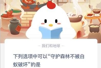 守护森林不被白蚁破坏的是_守护森林不被白蚁破坏的是什么