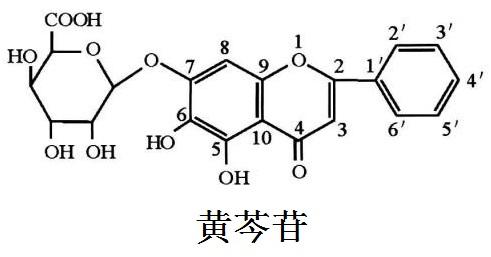 黄芩甙_黄芩甙和黄芩苷区别