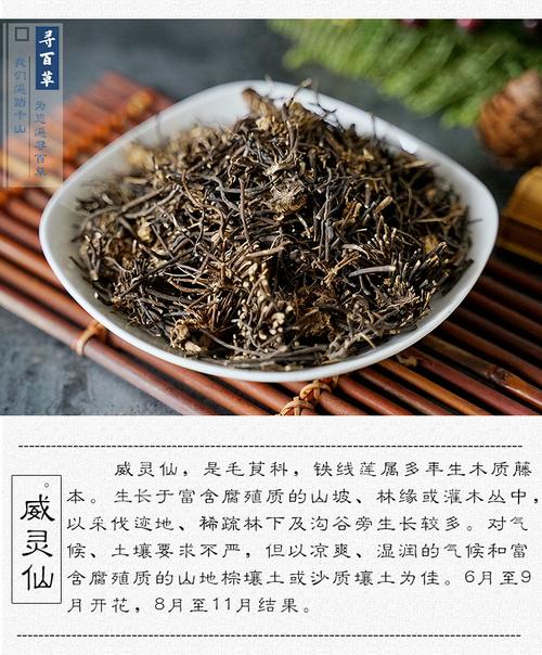 中药威灵仙_中药威灵仙用途与功效