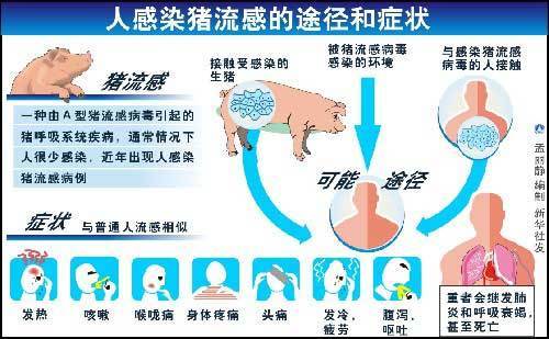 怎样预防猪流感_怎样预防猪流感病毒