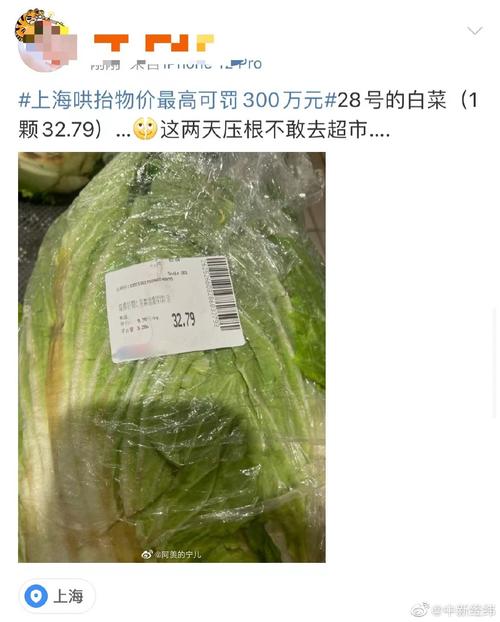 大白菜的价格_大白菜的价格问题如何解决