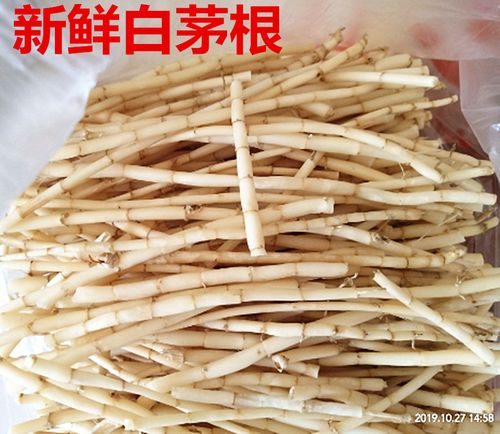 鲜白茅根_鲜白茅根的作用与功效与禁忌