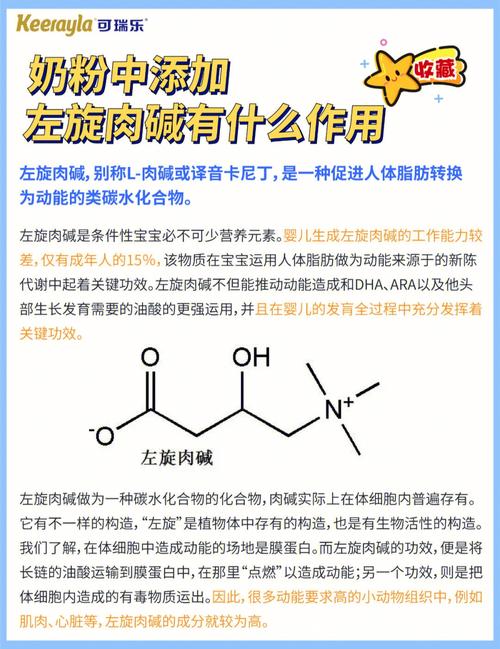 吃了左旋肉碱_吃了左旋肉碱后有什么反应