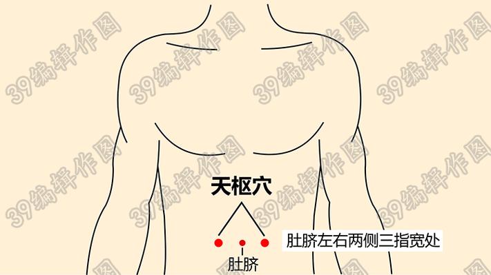 天枢穴位_人体的天枢在哪个位置