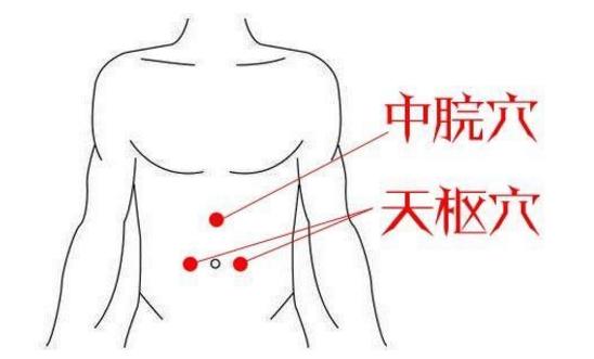 天枢穴位_人体的天枢在哪个位置