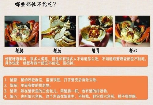 螃蟹不能和哪些食物一起吃_螃蟹不能和哪些食物一起吃l