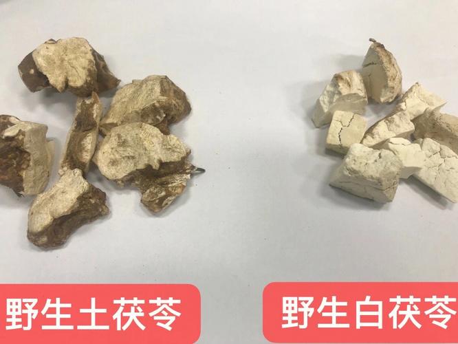 白茯苓的副作用_白茯苓的副作用有哪些?