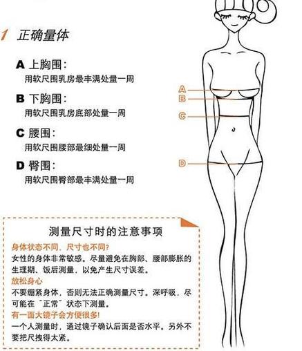 三围怎么量_三围怎么量标准图