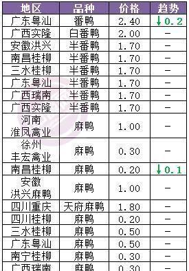 鸭苗价格_鸭苗价格 今日价全国