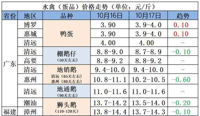 鸭苗价格_鸭苗价格 今日价全国