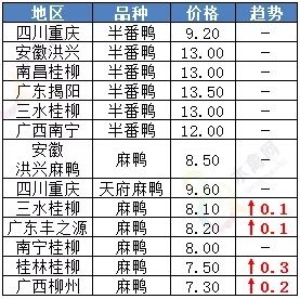 鸭苗价格_鸭苗价格 今日价全国